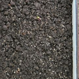 AussaatUnbekannt 2026-05-18 11.57.